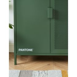 Buffet PANTONE Vert Olive en métal 2 portes et 2 étagères L75cm