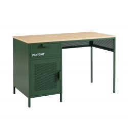 Bureau PANTONE Vert Olive en métal 1 porte et 1 tiroir L120cm